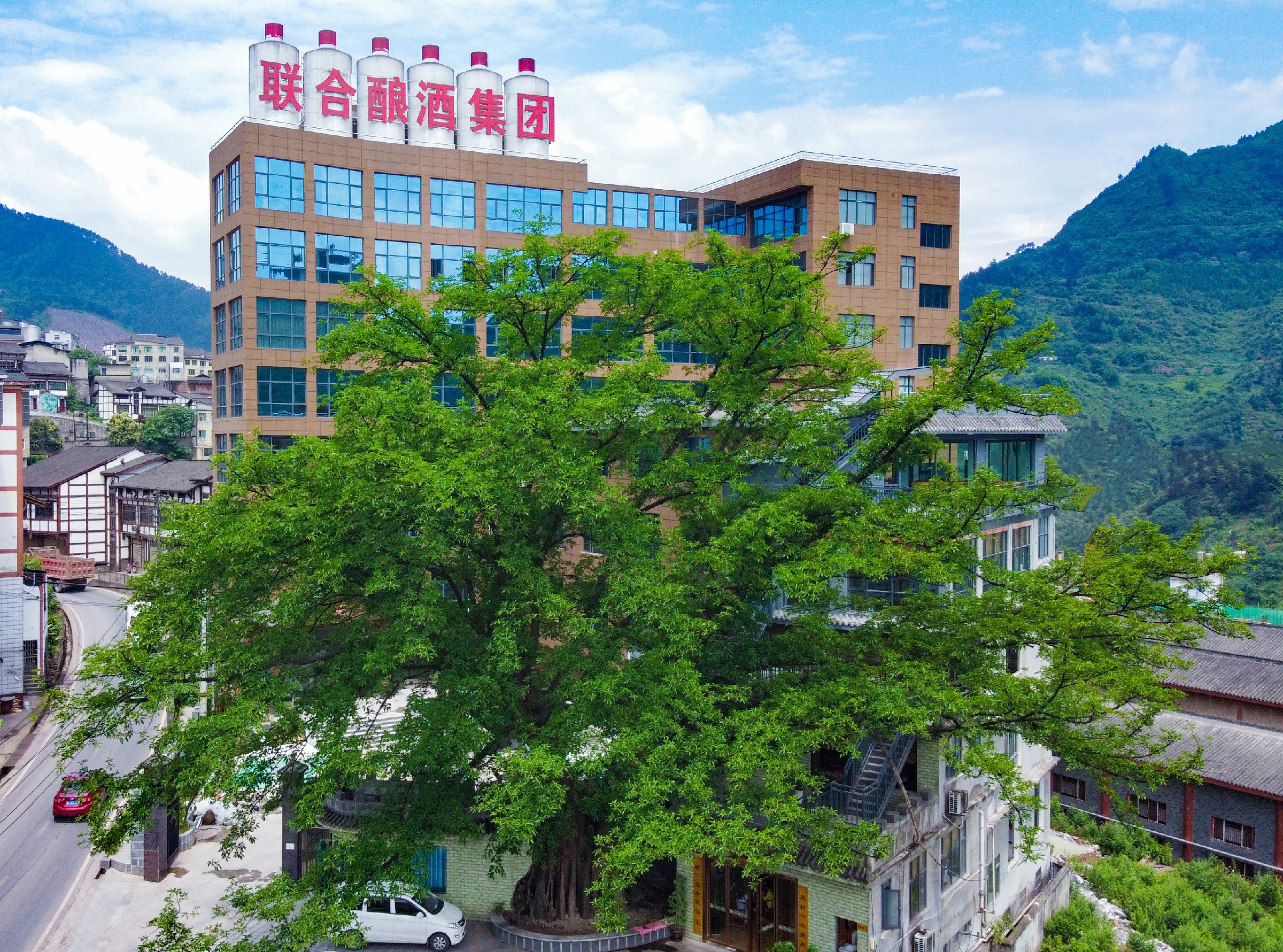 大楼~1.jpg